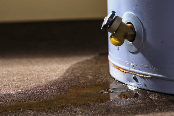 Best Water damage cleanup near me  in Hydesville, CA