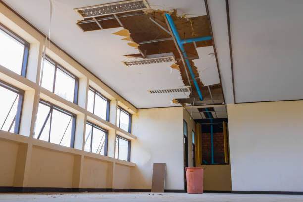 Best Ceiling water damage repair  in Hydesville, CA