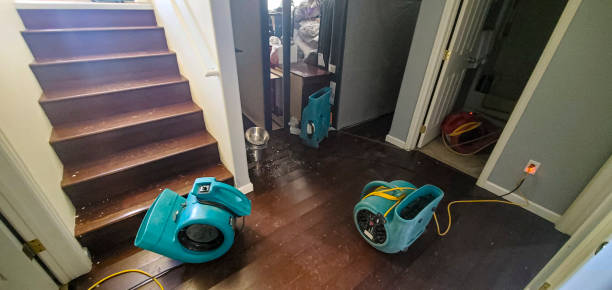 Best Water damage restoration experts  in Hydesville, CA