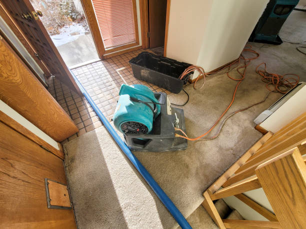 Best 24/7 water damage repair  in Hydesville, CA