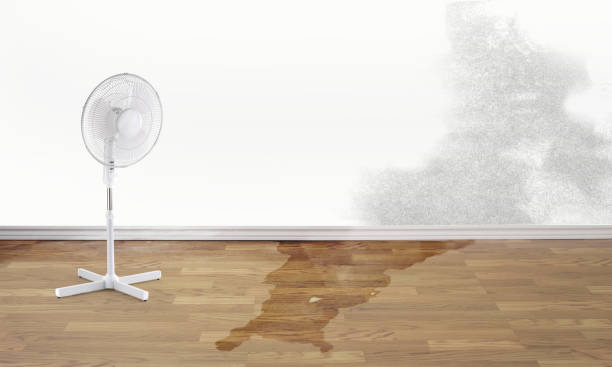 Best Professional water damage repair  in Hydesville, CA