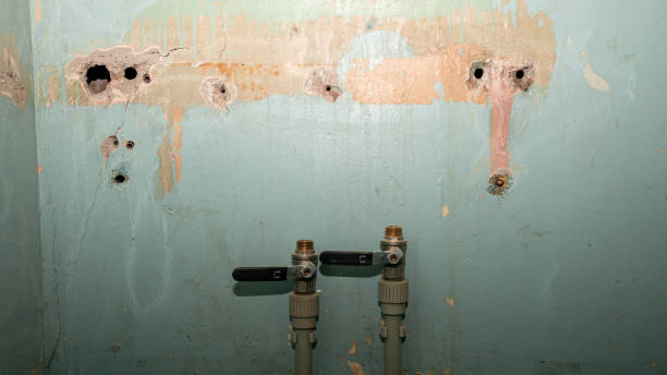 Best 24-hour water damage restoration  in Hydesville, CA