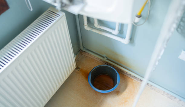 Best Professional water damage repair  in Hydesville, CA