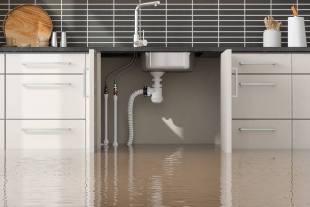  Hydesville, CA Water damage restoration Pros