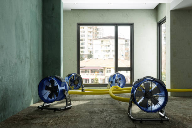 Best Water damage restoration specialists  in Hydesville, CA