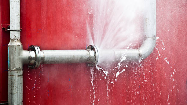 Best Water damage restoration mold remediation  in Hydesville, CA